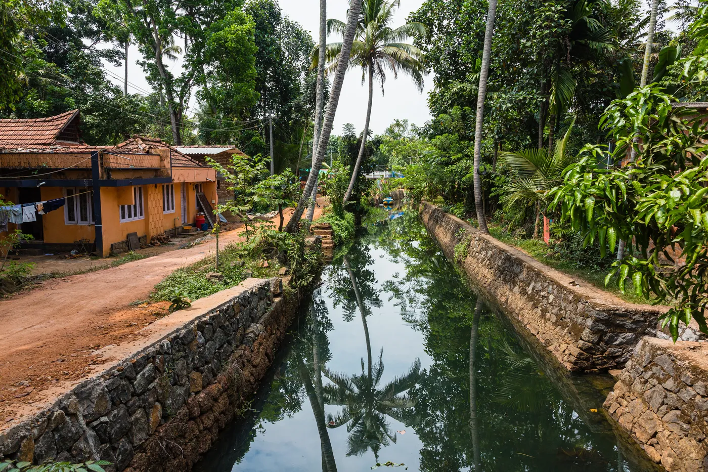 A narrow backwater canal lined with coconut palms and village houses near Alleppey