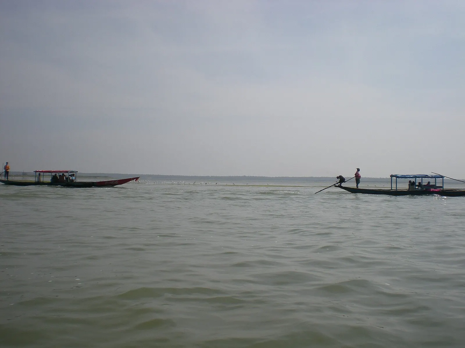 Tourist motor boats gathered on the open water of Chilika lagoon in the dolphin channel near Satapada
