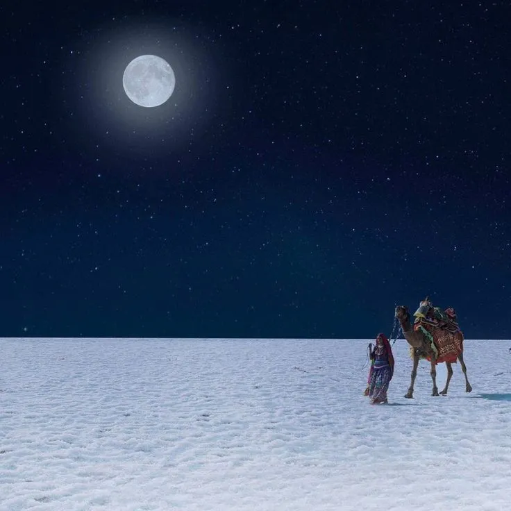 Moonlight on the white salt flat of the Rann of Kutch after dark