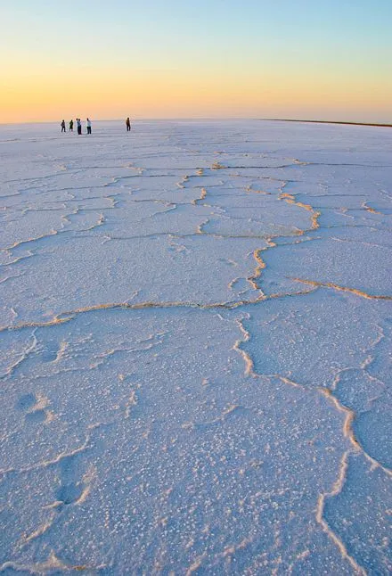 The white salt crust of the Great Rann of Kutch running flat to the horizon near Dhordo