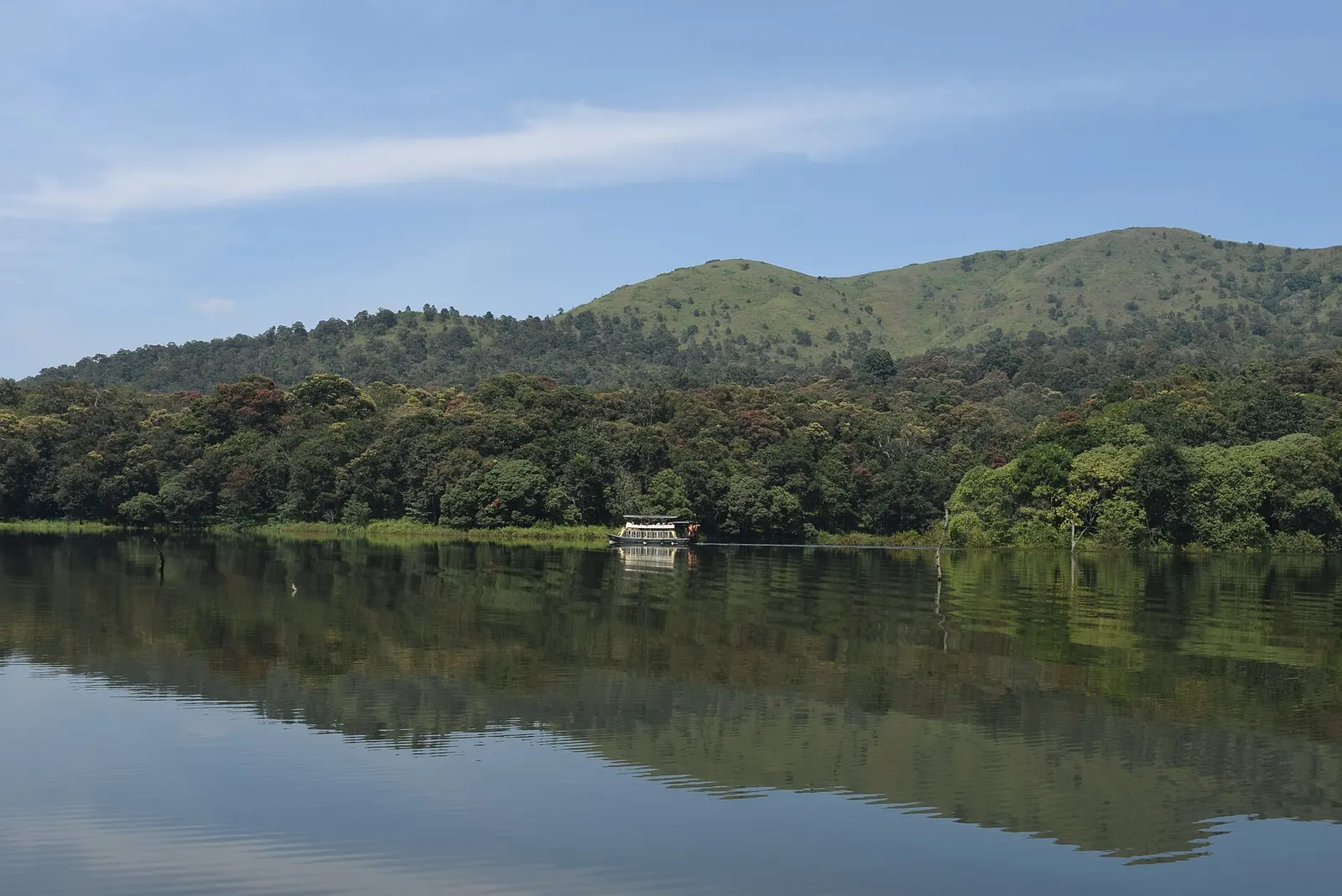 Dead tree trunks standing in the still water of Periyar lake below forested hills inside Periyar Tiger Reserve at Thekkady