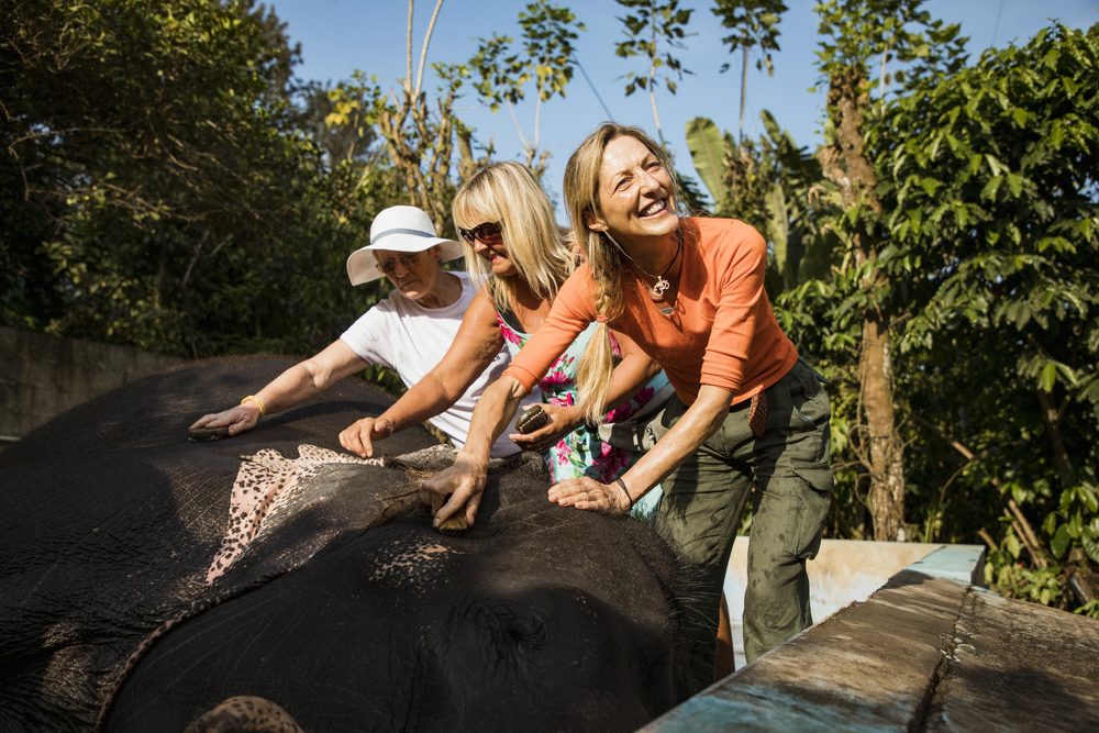 Travellers meeting an elephant on an easy-entry Southeast Asia trip
