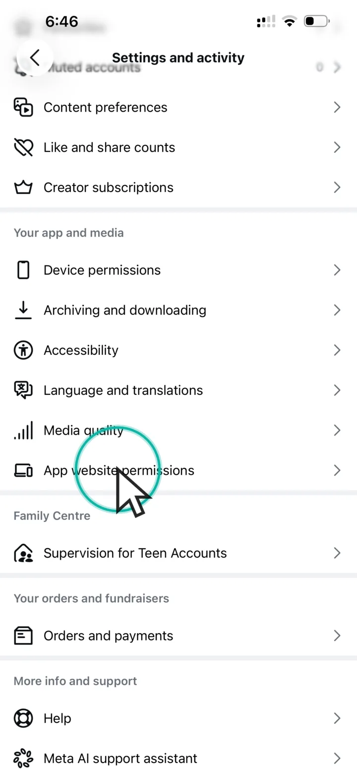 Instagram settings with App website permissions highlighted