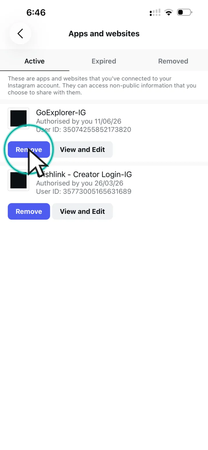 Apps and websites list with the Remove button next to GoExplorer-IG highlighted