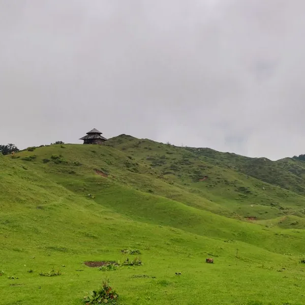 A traditional wooden hill temple standing on the open grassy ridge of Moila Top above forested slopes near Chakrata