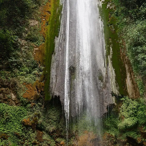 A single sheet of water falling down a tall mossy rock face surrounded by green vegetation at Tiger Falls near Chakrata