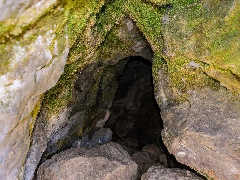 The dark mossy limestone entrance to the Budher caves near Moila Top, with boulders on the cave floor
